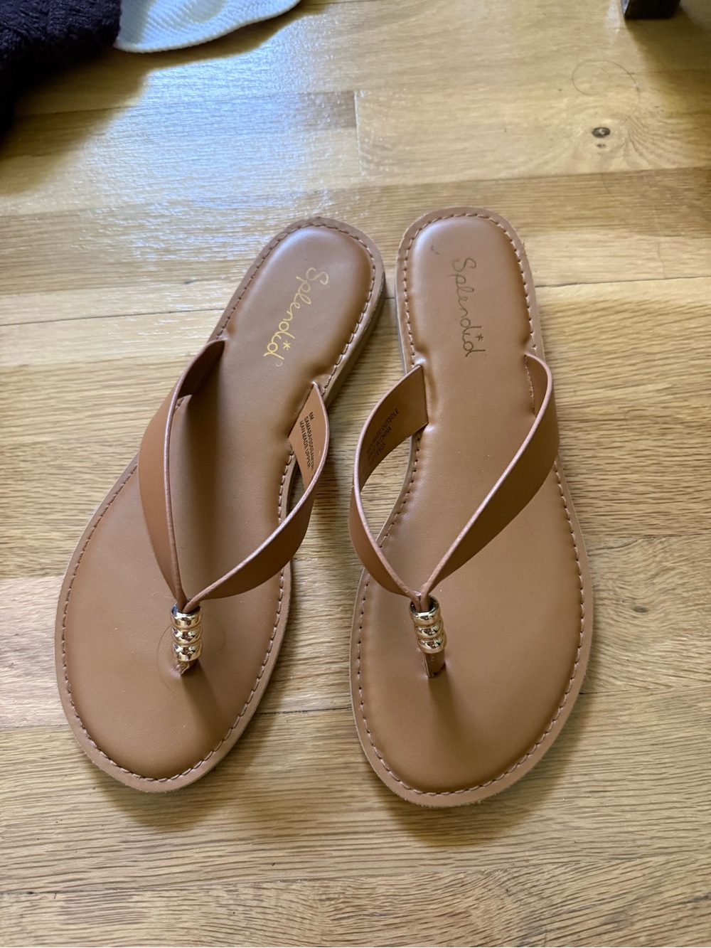 Splendid flip flops